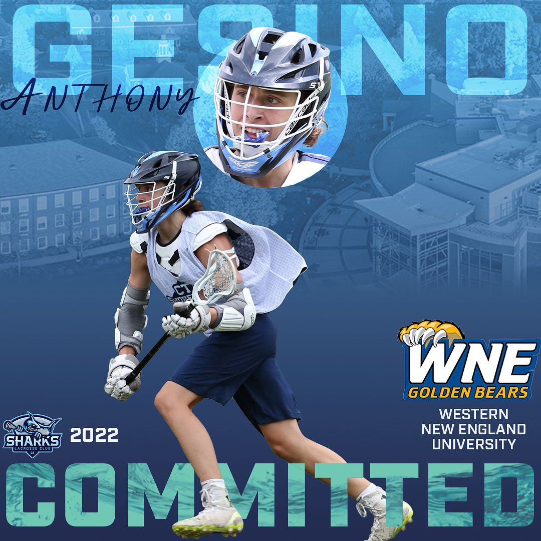 Congratulations to Anthony Gesino ‘22 on his commitment to continue his education and play lacrosse at Western New England University! 

#SharkAlumni #ShorelineLax
